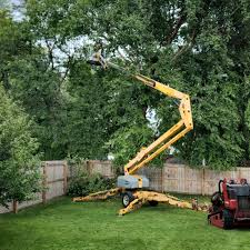 Best Sod Installation  in Orange, OH